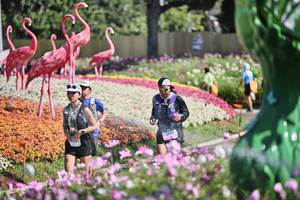 BIB: 
                            <button type="button" onclick="openModal(27793132)" class="btn btn-primary btn-sm float-right btn-popup" data-toggle="modal" data-target=".modal-high-quality">
                        <i class="fas fa-shopping-cart"></i> Add to Cart
                    </button>
                                            <button type="button" onclick="isThisMe(27793132, true)" class="btn btn-success btn-sm float-right btn-popup btn-isme hidden" data-toggle="tooltip" data-placement="bottom" title="นี่คือรูปของคุณใช่ไหม คลิกที่นี่เพื่อเอาเข้าอัลบั้ม">
                        <i class="fas fa-plus"></i> Add to album
                    </button>
                    <button type="button" onclick="isThisMe(27793132, false)" class="btn btn-warning btn-sm float-right btn-popup btn-isnotme hidden">
                        <i class="fas fa-ban"></i> Remove from album
                    </button>